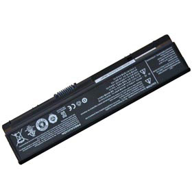 Batterie Pour LG P430